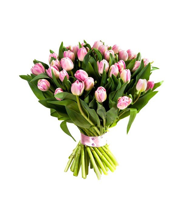 Royal 100 Tulip Bouquet