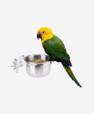 Inox Bowl Birds Food