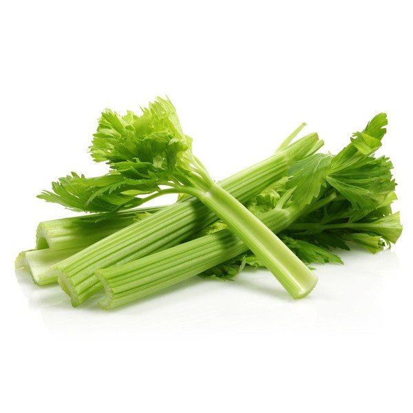 Crisp Fresh Green Beans