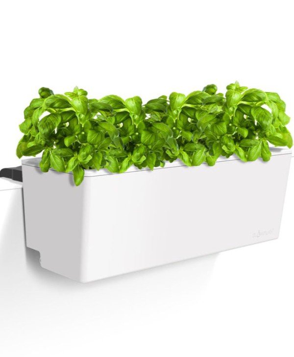 Self Watering Mini Rail Planter