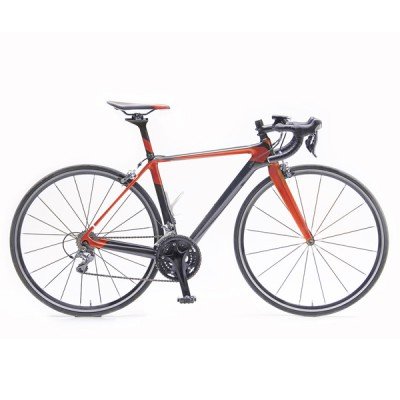 Giant ARX Kids Bike
